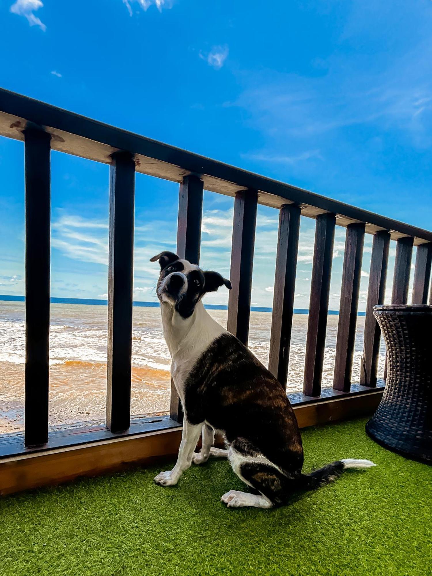 Sunset Views - Acogedor Con Vista Al Mar Apartment Ла Либертад Екстериор снимка